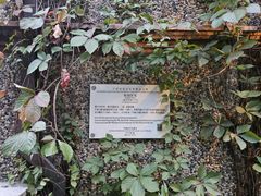 -思南书局(复兴中路店)