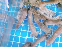 -宾朋海鲜美食餐厅·特色美食(兴海路店)