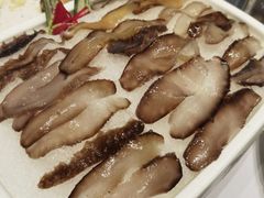 WM即食海参-红鼎豆捞·非遗鲍皇汤火锅(宝丰路店)