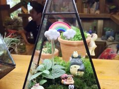 -魔石泡泡鱼(当涂店)