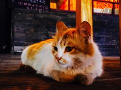 -德居源