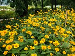 -国家植物园南园