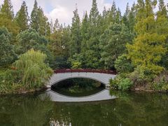 -东平国家森林公园
