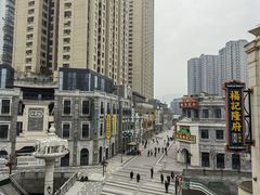 -杨记隆府(白象街店)