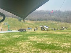 -羊山湖公园