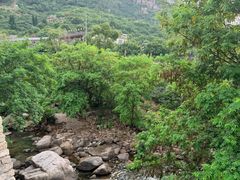 -崂山水果园农家宴(泉水鸡店)