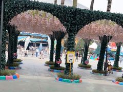-海合安成都极地海洋公园