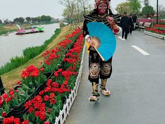 -荷兰花海