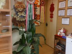 -猫十亿·布偶金渐层·曼基康矮脚猫舍(青年路店)