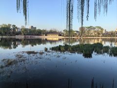 -皇家御河游(紫御湾码头)