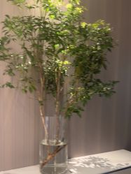 -丽都整形美容医院·全国连锁旗舰店