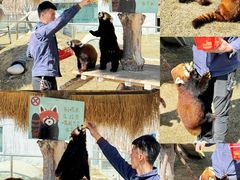 -水上乐园·欢乐世界