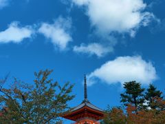 -有栖山 清光院 清水寺