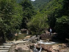 -广州白江湖森林公园