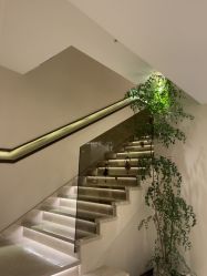 -普洛蒂亚·科技美肤中心