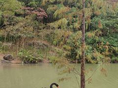 -广州白江湖森林公园