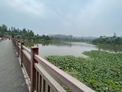 -枫香湖儿童公园