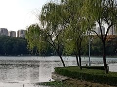 -白塘生态植物园