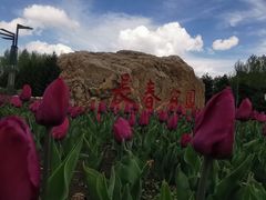 -长春公园(普阳街道)