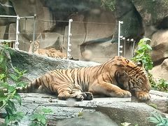 -荆州中山公园动物园