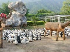 -牛鱼嘴原始生态风景区