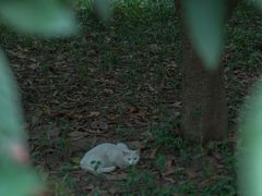 -河南省黄河迎宾馆
