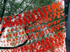 -华盛堂百货(沅陵店)