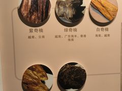 -中国沉香文化博物馆