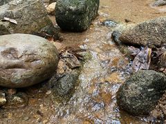 -火炉山森林公园