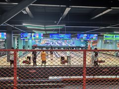 -极限PLAY运动娱乐新世界·团建派对潮玩休闲馆·室内蹦极高空游乐园