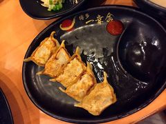 博多一口饺子-博多一幸舍(侨福芳草地购物中心店)