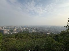 -杭州半山国家森林公园