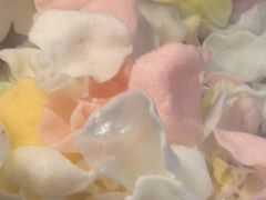 -黑家养生粥道馆(新世纪店)
