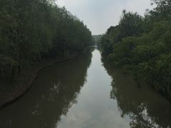 -溱湖国家湿地公园