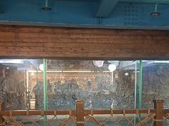-海合安青岛极地海洋公园
