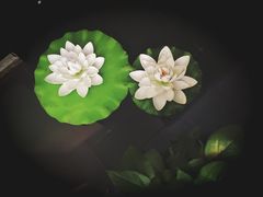 -凯伦咖啡 Karen Coffee(民族街店)