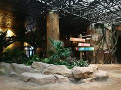 -杭州开元森泊度假乐园