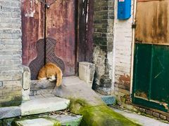 -春风习习