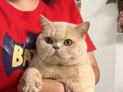 -猫宠乐园·专业洗护