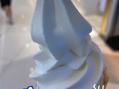 -春丽小马(济南恒隆广场店)