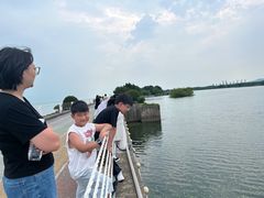 -贡湖湾湿地公园