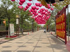 -洛阳市隋唐城遗址植物园
