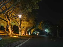 -福建鲤鱼洲酒店