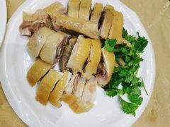 正宗湛江鸡-瑞记湛江鸡饭店·粤西第一鸡(粤垦店)