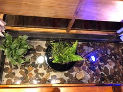 -小天厨民间菜馆(深圳街店)