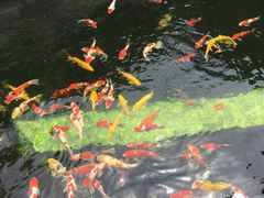 -顺德了能馆(虎门店)