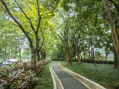 -科兴科学园