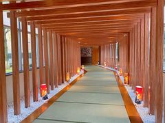 -重庆南山海昌汤都