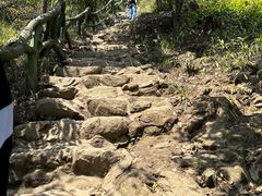 -梧桐山风景名胜区