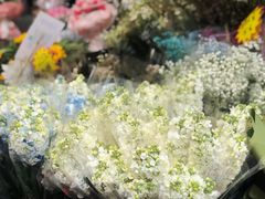 -循礼门鲜花花市(武汉循礼门店)